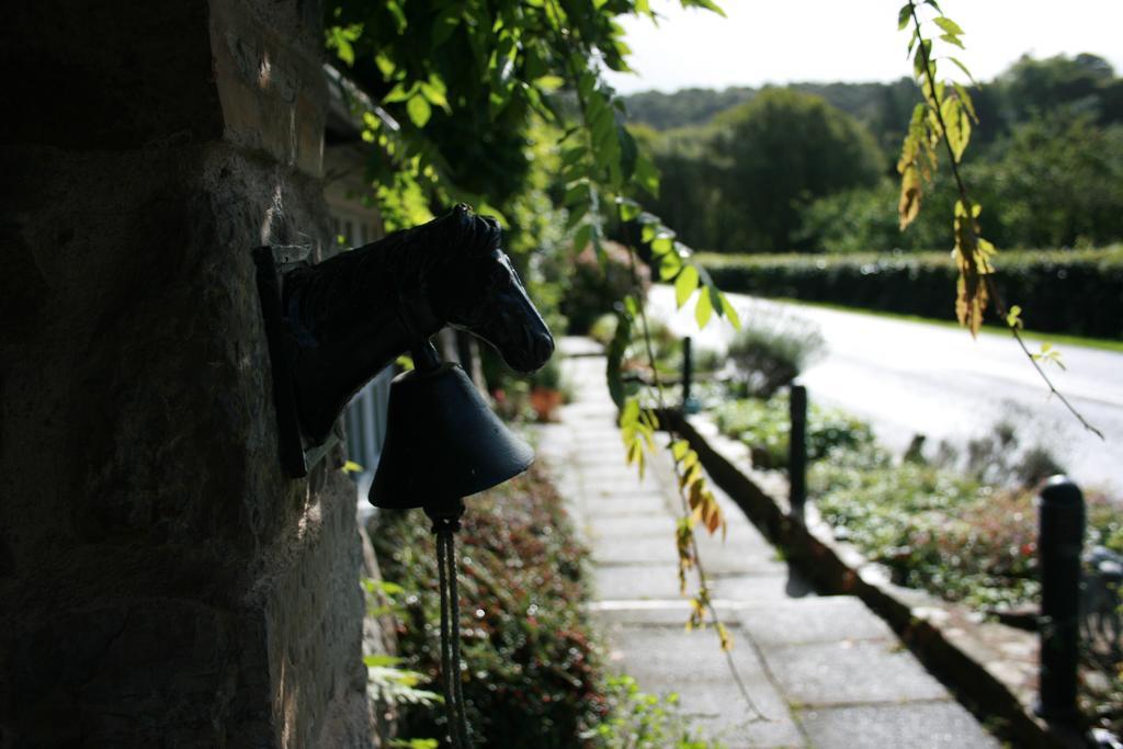 The Bark House Hotel Tiverton  Exterior photo